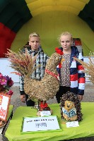 Изображение Изображение