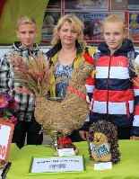 Изображение Изображение